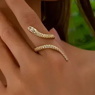 Snake Style Ring - FY0254